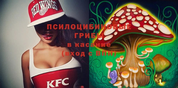 дурь Волоколамск