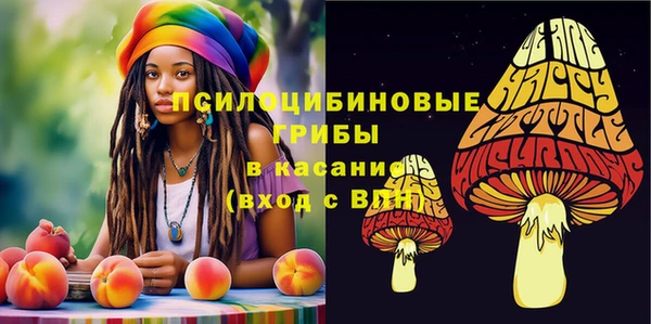 дурь Волоколамск